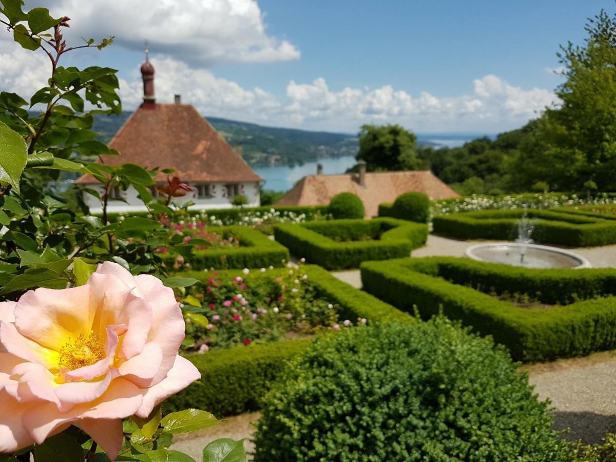 Schloss Freudenfels Эшенц Экстерьер фото
